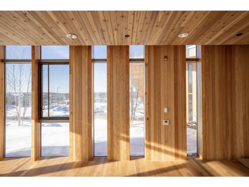 Mass Timber, A New Frontier in Commercial Building 